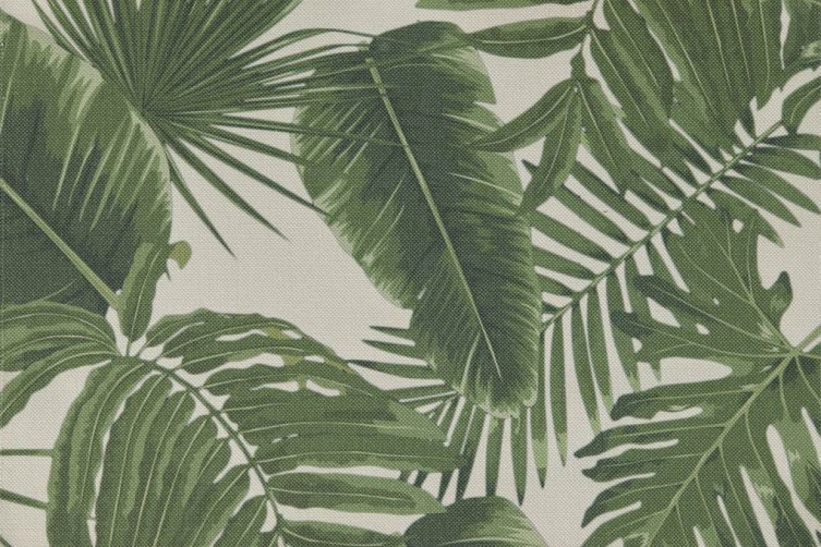 PALM LEAF NATURALE8